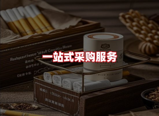 专业团队